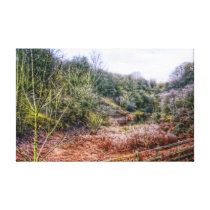 Down by the Stream HDR canvas print canvas prints