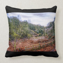Down by the Stream HDR cushion pillow pillows