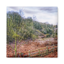 Down by the Stream HDR fridge magnet magnets