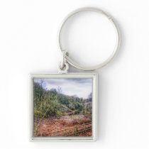 Down by the Stream HDR keychain keychains
