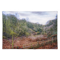Down by the Stream HDR placemat placemats