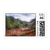 Down by the Stream HDR postage stamps stamps