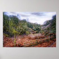 Down by the Stream HDR poster print posters