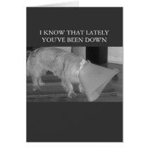 down in the dumps cards