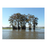 Down on the Bayou