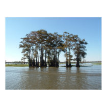 Down on the Bayou posters by jennlynndesign Down on the Bayou posters