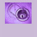 Ladies Baby Doll (Fitted)
