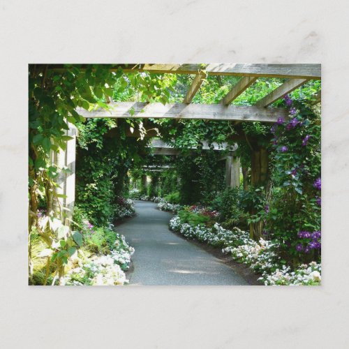 Down the Garden Path postcard
