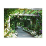 Down the Garden Path Postcards