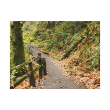 Down the Hill Stretched Canvas Print