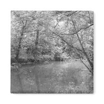 Down the River magnets