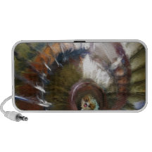 down the stairs iPod speaker