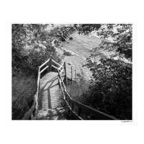 Down the Steps posters