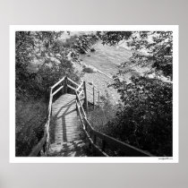 Down the Steps Posters