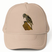 Downey Woodpecker Pic hats