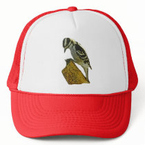 Downey Woodpecker Pic hats