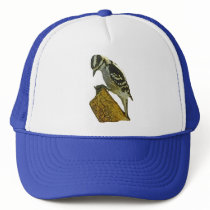 Downey Woodpecker Pic hats