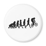 Downhill evolution fridge magnet