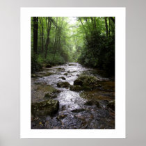 Downstream Posters