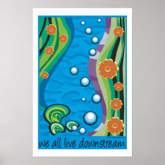Downstream Poster
