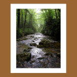 Downstream posters