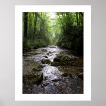 Downstream Posters