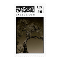 Downtown Albuquerque Tree Stamps