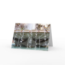 Downtown Los Angeles Fountain Greeting Card by DonnaGrayson Downtown Los Angeles Fountain Greeting Card