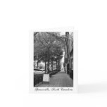 Downtown Streets in Greenville