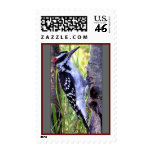 Downy Bird Stamps