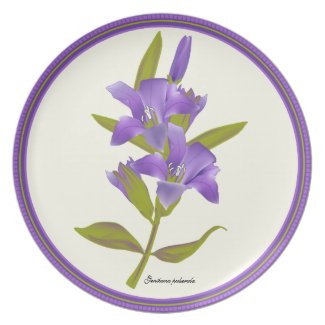 Downy Gentian Wildflower Plate