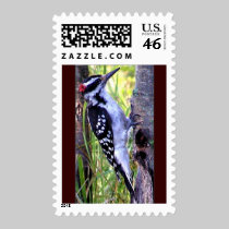 Downy Stamps stamps