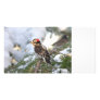 Downy Woodpecker in Snow Photo Personalized Photo Card