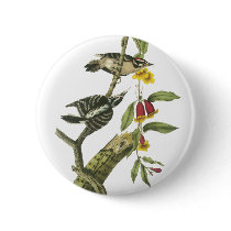 Downy Woodpecker - John Audubon Buttons