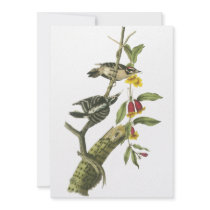 Downy Woodpecker - John Audubon Announcements