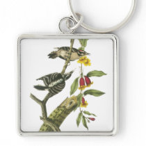Downy Woodpecker - John Audubon Key Chains