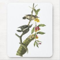 Downy Woodpecker - John Audubon Mouse Pads