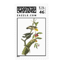 Downy Woodpecker - John Audubon Postage Stamps