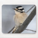 Downy Woodpecker Mousepad