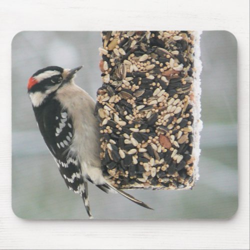 Downy Woodpecker Mousepad mousepad