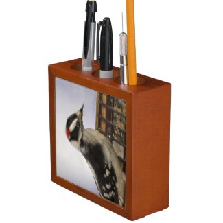 Downy Woodpecker Pencil Holder