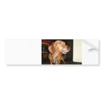 doxend bumper stickers by arthur_jb doxend bumper stickers