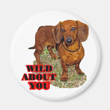Doxi Lover Fridge Magnet