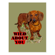 Doxi Lover postcards