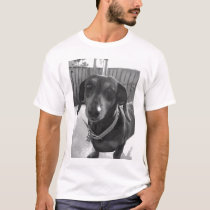 Doxie cakes t-shirts by bassetfan Doxie cakes t-shirts
