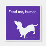 Doxie Feed Me Magnet