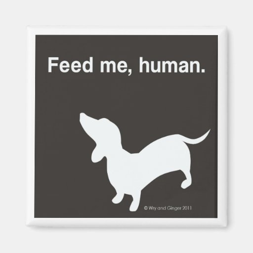 Doxie Feed Me Magnet black