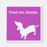 Doxie Feed Me Magnet pink