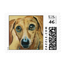 DOXIE LOVE STAMPS