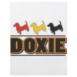 DOXIE-Word-COLOR flyers